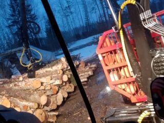 Forester Trailer FT-9