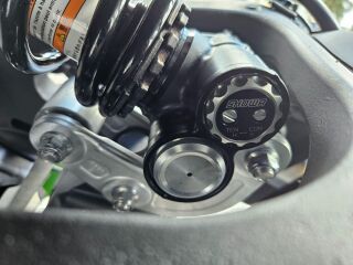Kawasaki Ninja ZX - 10R 152kW