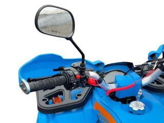 Tao Motor Premium shark 125