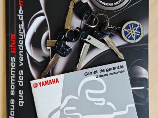 Yamaha XVS 1300 Custom 53kW