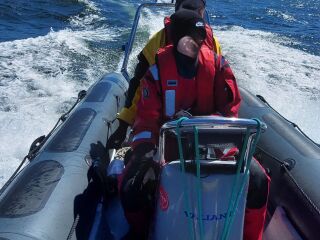Valiant RIB