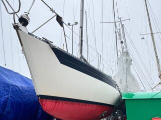 Kings Cruiser 33