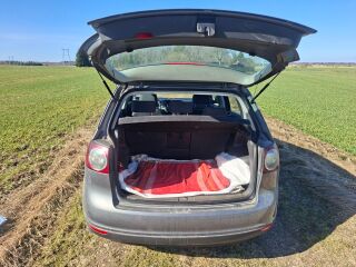 Volkswagen Golf Plus 1.4 59kW