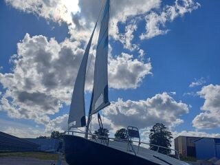 Cumulus 164