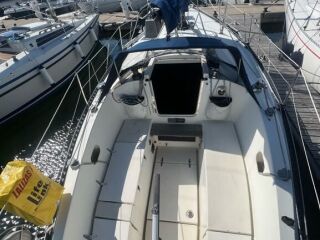 Kings Cruiser 33