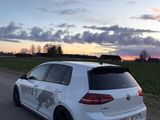 Volkswagen Golf GTI 2.0 R4 236kW