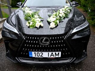 Lexus NX 450h+ 2.5 227kW