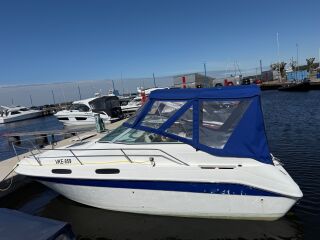 Sea Ray 230