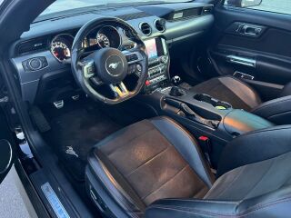 Ford Mustang 5.0 V8 324kW