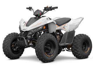 Linhai M110 Junior