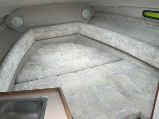 Sea Ray 230