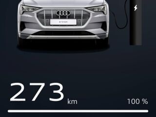 Audi e-tron Sportback 50 Quattro Business edition 230кВ