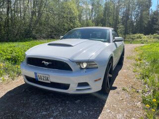 Ford Mustang 3.7 227кВ