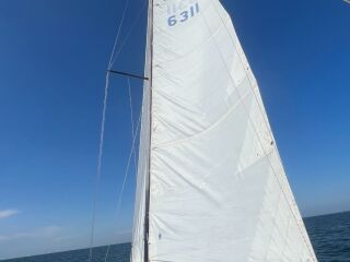 Kings Cruiser 33