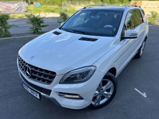 Mercedes-Benz ML 250 2.1 R4 150кВ