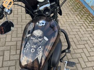 Harley-Davidson Sportster XL 1200CP 49kW