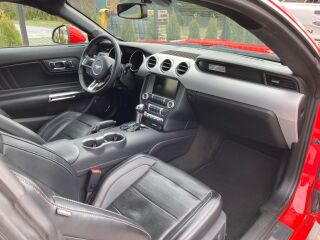 Ford Mustang GT 5.0 310kW