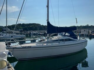 Maxi Fenix 5кВ