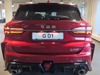 SWM G01 1.5 102kW