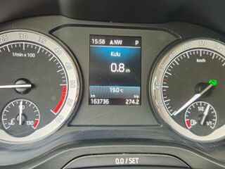 Skoda Kodiaq 2.0 110кВ