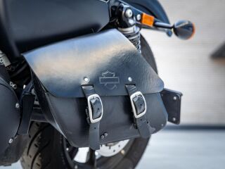 Harley-Davidson IRON 883 V-Twin 38kW
