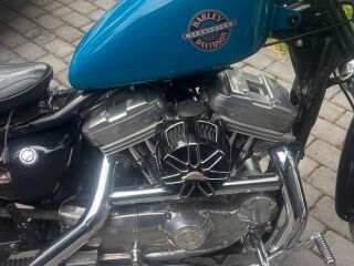 Harley-Davidson Sportster XL 883 v2 39kW