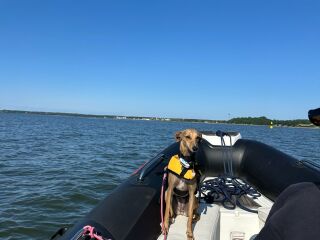 Brig EAGLE 600 L Evinrude E-Tec 115hp
