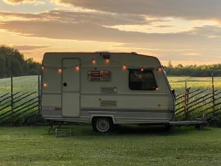 Gruau Floreal 37 DD