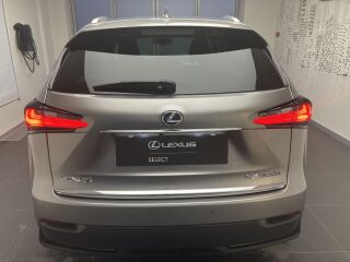 Lexus NX 300h Executive 2.5 114kW
