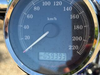 Harley-Davidson Sportster 1200 XL1200C Sportster Custom 1200 49kW