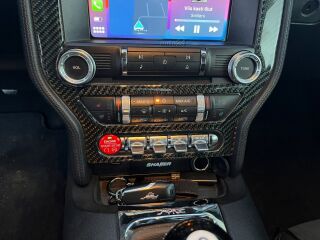 Ford Mustang 5.0 V8 324kW