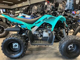 Yamaha YFM110R