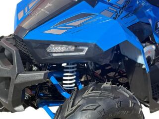 Tao Motor Premium Mudhawk 110