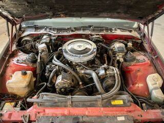 Chevrolet Camaro 5.0 V8 142kW