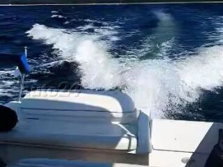 Wellcraft 2600 Martinique 7.4 V8 228kW