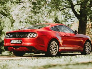 Ford Mustang GT 5.0 310kW