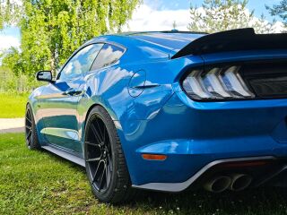 Ford Mustang GT  PP1 EU 5.0 V8 32V Ti-VCT 331kW