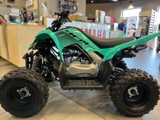 Yamaha YFM110R