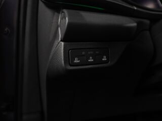 Cupra Terramar 2.0 195kW