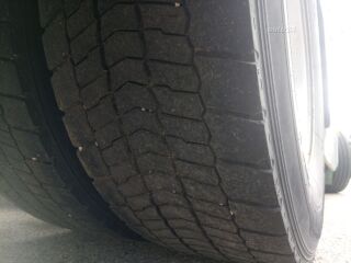 Renault Magnum 13.0 R6  / EEV 360кВ