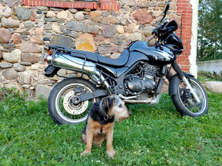 Triumph Tiger 855i T 709 R3 61kW