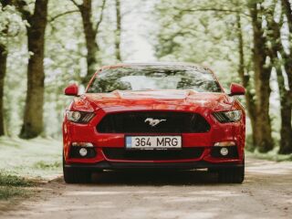 Ford Mustang GT 5.0 310kW