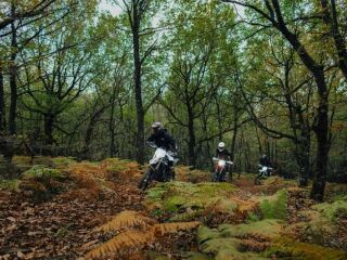 Stark Varg Enduro EX 60