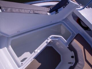 Silver FOX BR + Mercury F60ELPT