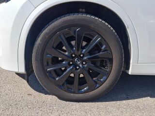 Mazda CX-60 e-Skyactiv D AWD Homura 3.3 187кВ