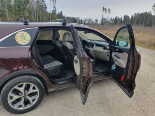 Kia Sorento TX 2.2 147kW