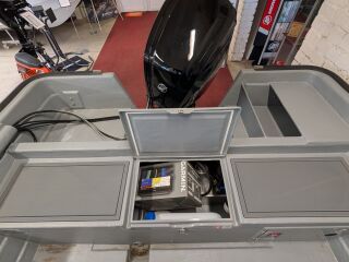 Sting Sting 600 Pro HT + Mercury F80 ELPT EFI