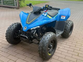 CFMOTO CFORCE 110