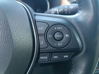 image_1782574244