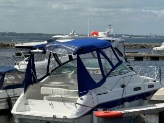 Sea Ray 230